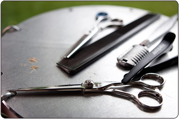 Tools of the trade - Matthew John Hair Salon